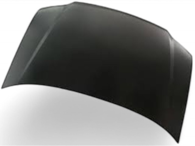 Капот FPS FP7406280