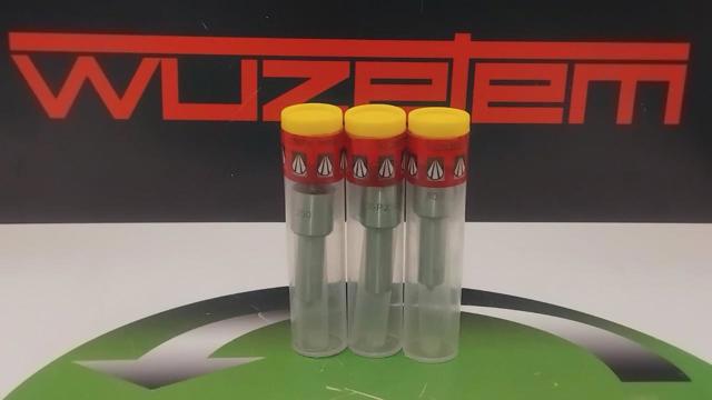 Купити PDLLA135P250 Wuzetem Розпилювач дизельної форсунки