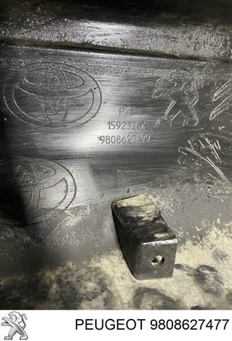 Купити 9808627477 Peugeot/Citroen Задній бампер