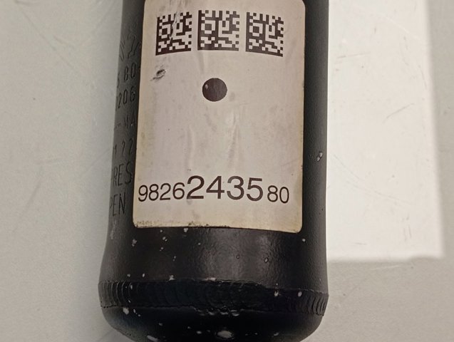 Купити 9826243580 Peugeot/Citroen Стійка амортизатора задня