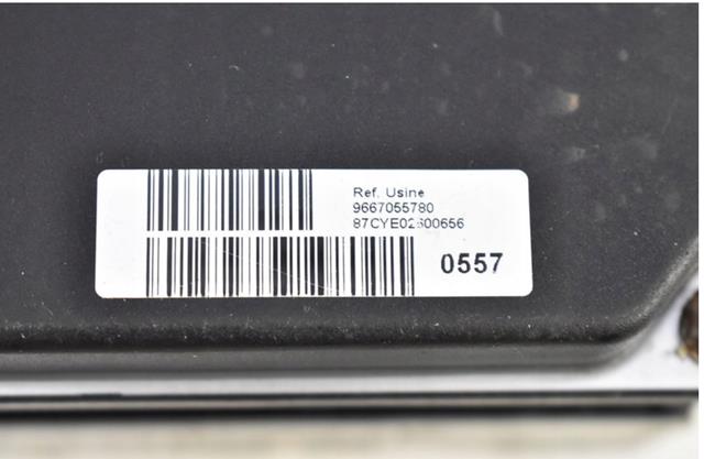 9667055780 Peugeot/Citroen