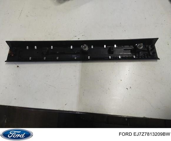 EJ7Z7813209BW Ford 