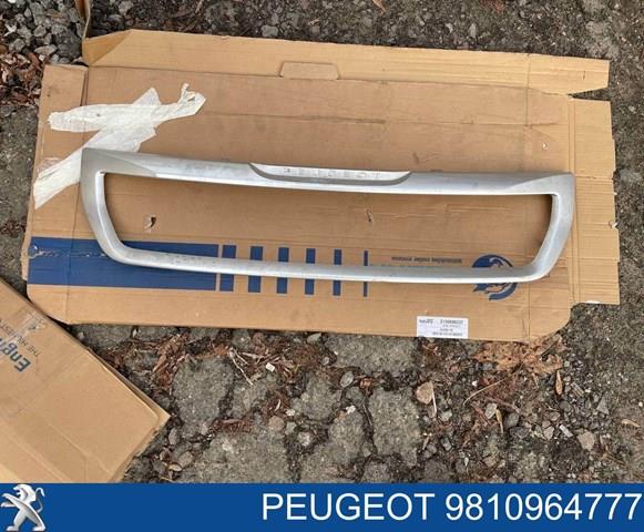 Купити 9810964780 Peugeot/Citroen Захисна решітка радіатора