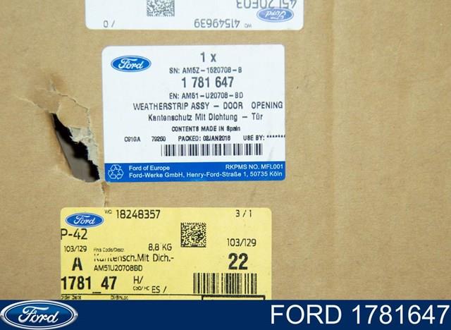 1706754 Ford ущільнювач двері передньо, правої (на двері)