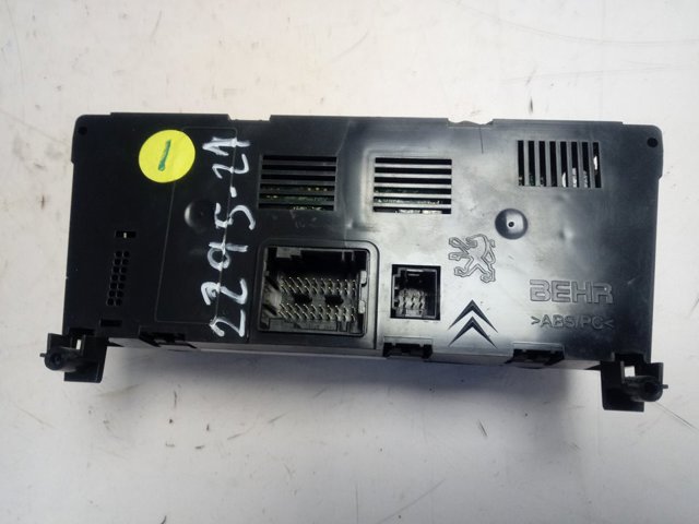  96738321XT Peugeot/Citroen