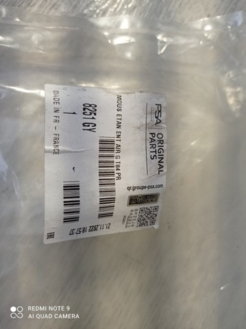 Peugeot/Citroen 9684972680