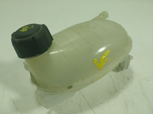 Бачок розширювальний Renault (RVI) 217102572R