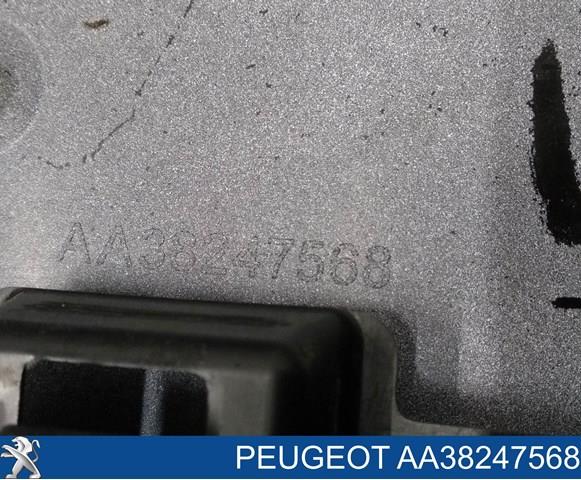  AA38247568 Peugeot/Citroen