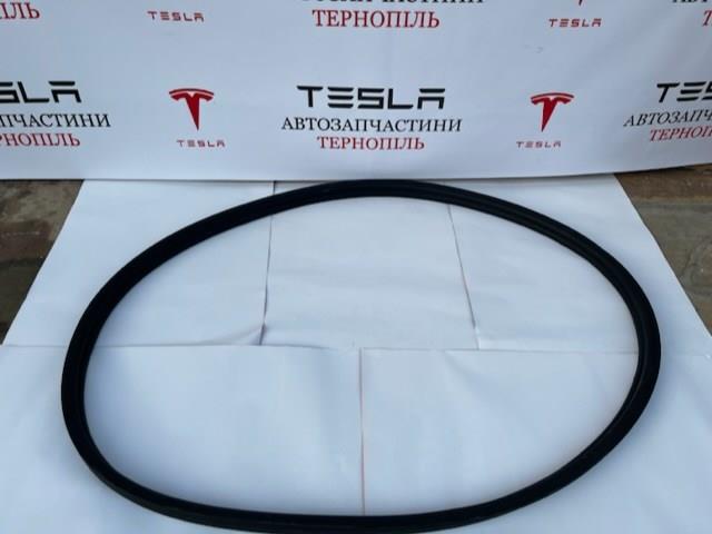Ущільнювач під капот Tesla 109049200B