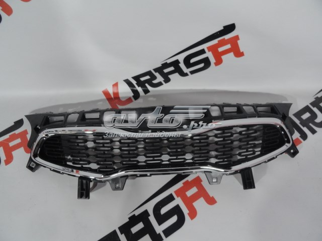 Облицювання радіатора FPS FP4050990 ціна, від 93.83 USD