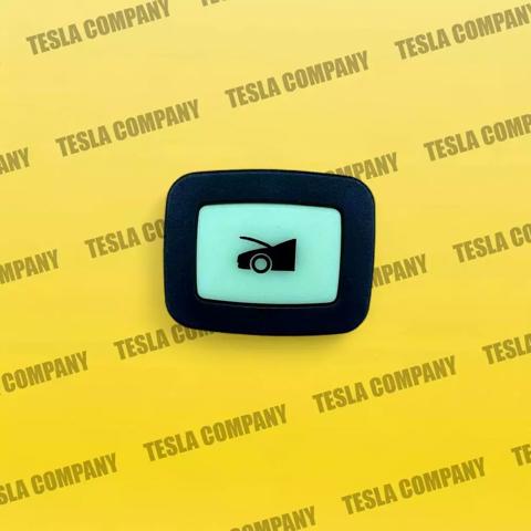  Tesla 100206600A