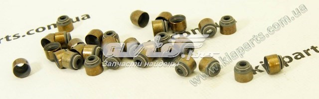 Сальник клапана (маслознімний), впуск/випуск PH 1411CAAAI0 ціна, від 0.51 USD