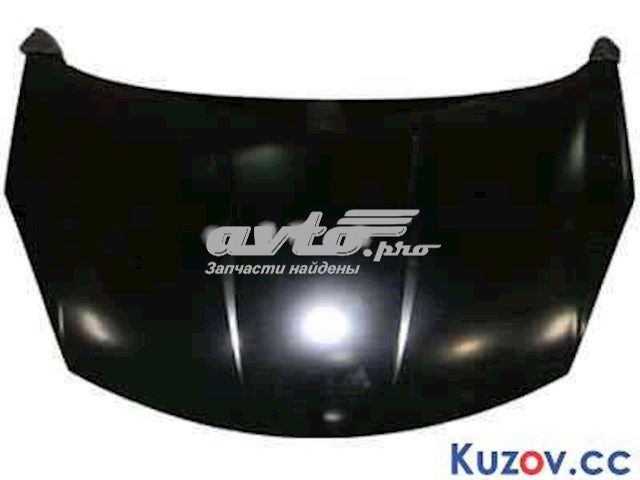 Капот FPS FP5013281