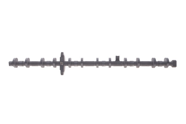  106004 Solgy