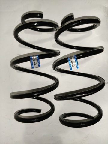Купити 546303X070 Hyundai/Kia Гвинтова пружина підвіска