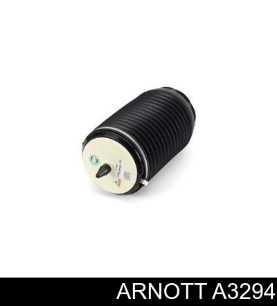  A3294 Arnott