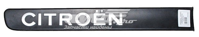  9620953280 Peugeot/Citroen