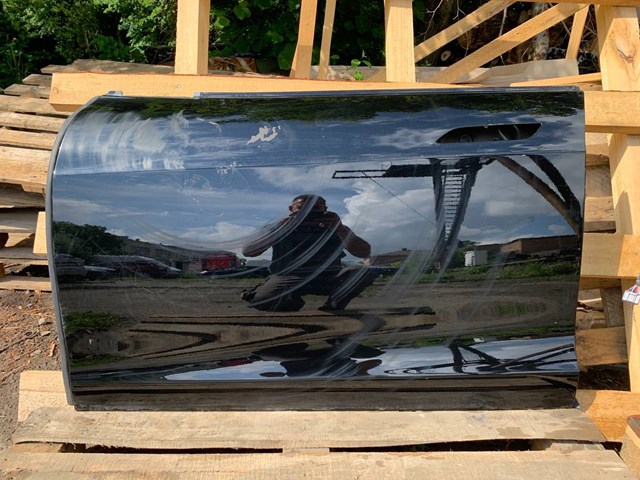 Купити 6006662E0H Tesla Двері кабіни