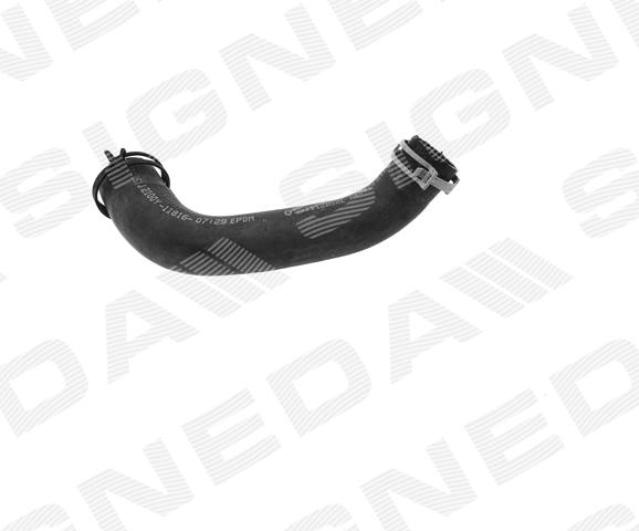 RZ50005AO Signeda Патрубок системи охолодження