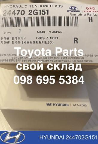 Купити 244702G151 Hyundai/Kia Натягувач ланцюга насосу масляного