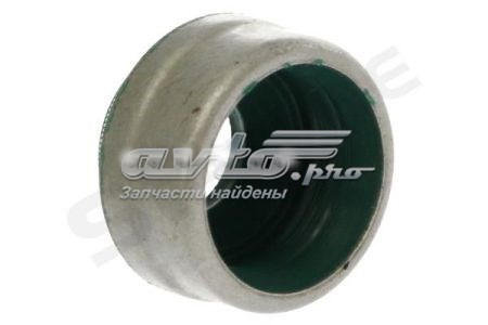  Starline GA6505