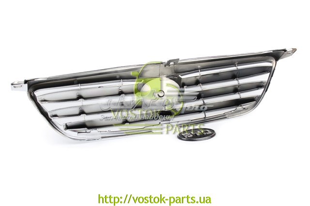 Купити BYDF38401111 BYD Захисна решітка радіатора