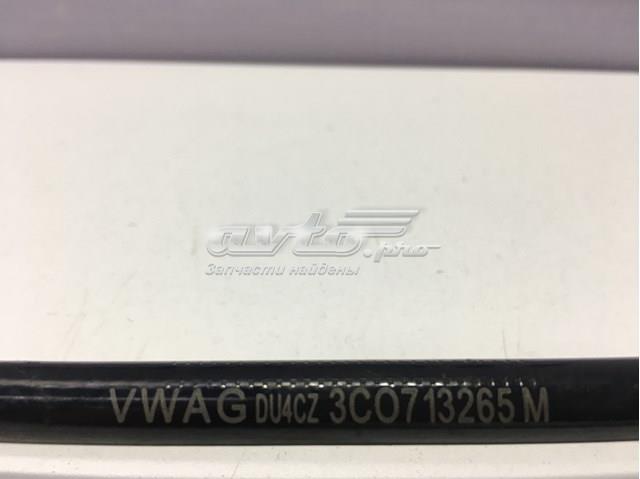 3C0713265M VAG 