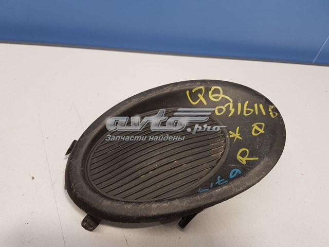 62256BR00A Nissan/Infiniti Заглушка, решітка протитуманних фар бампера переднього, права