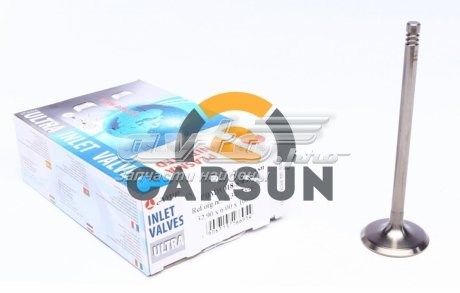 Клапан впускний PBMW018S0N AMP/Paradowscy