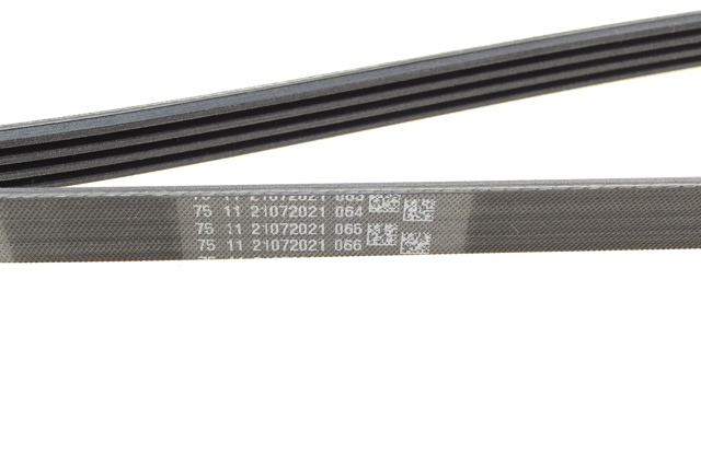 Клиновий ремінь Continental/Siemens 4PK1590 ціна, від 8.95 USD