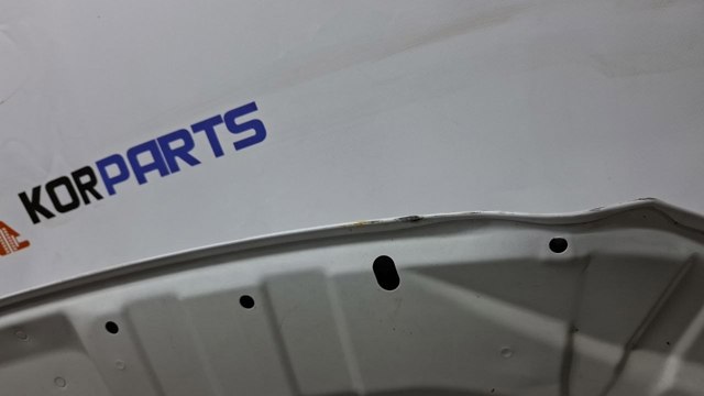 Капот Hyundai/Kia 66400KL000 ціна, від 1312.71 USD