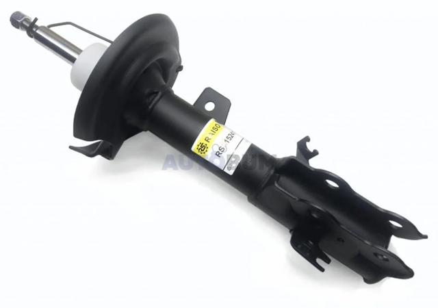 Амортизатор передньої підвіски, лівий Raiso RS315241 ціна, від 33.59 USD