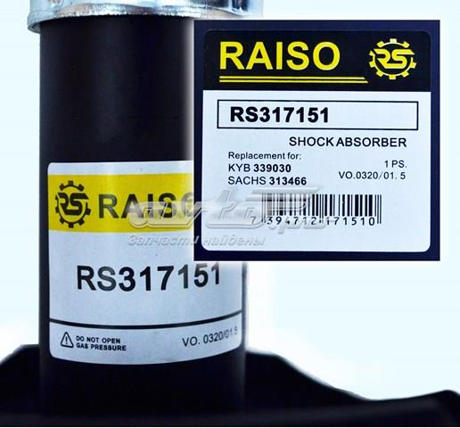 Амортизатор передньої підвіски, лівий Raiso RS317151 ціна, від 31.45 USD