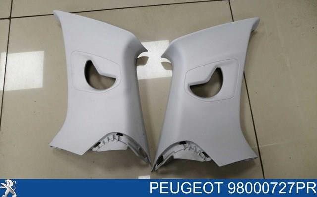 Купити 9800072877 Peugeot/Citroen 