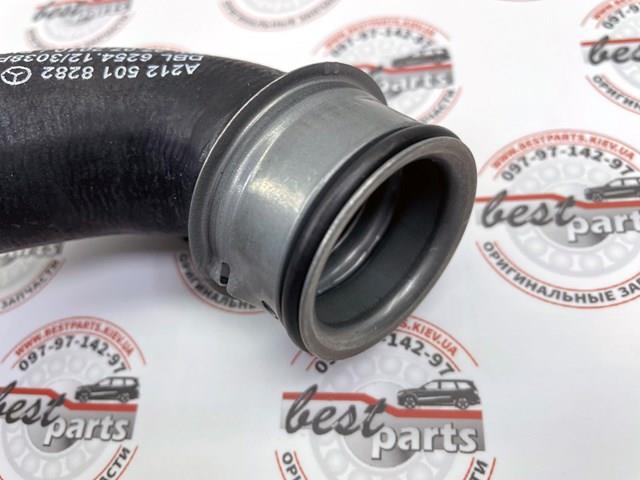 DWM132TT Thermotec Шланг/патрубок радіатора охолодження, нижній