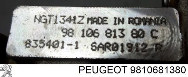  Peugeot/Citroen 9810681380