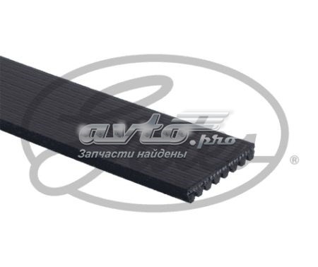 Клиновий ремінь Gates 8PK2160ES ціна, від 17.27 USD
