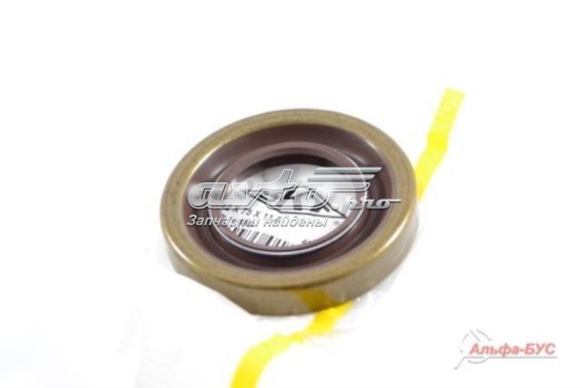Сальник хвостовика редуктора заднього моста SKT SKT045639V ціна, від 8.84 USD