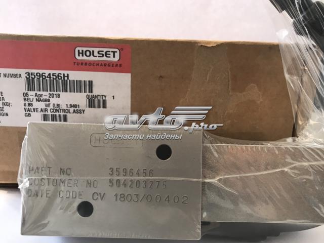 3596456 Holset 