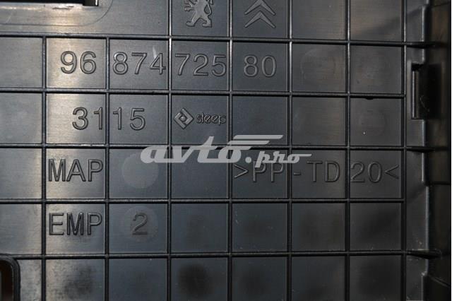 Купити 9687472580 Peugeot/Citroen 