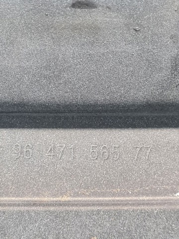 Купити 965166380 Peugeot/Citroen 