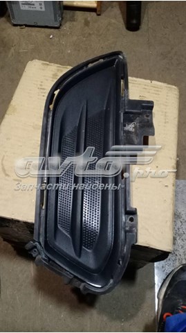 DS7319953ABW Ford 