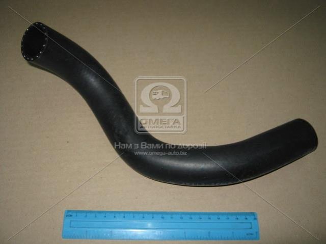 Купити 254122F800 Hyundai/Kia Шланг/патрубок радіатора охолодження, нижній