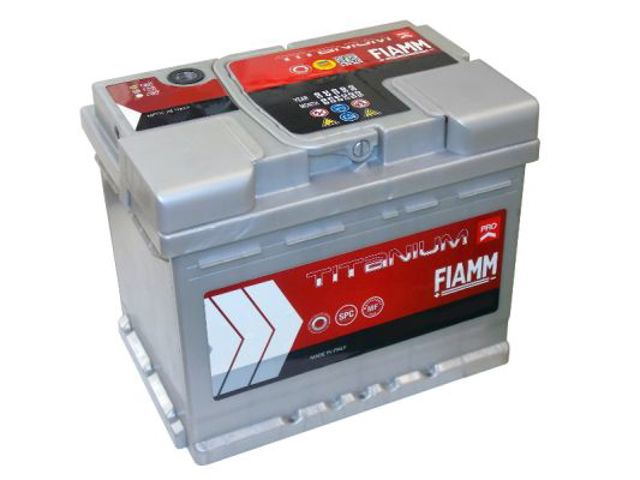 7905998 Fiamm 