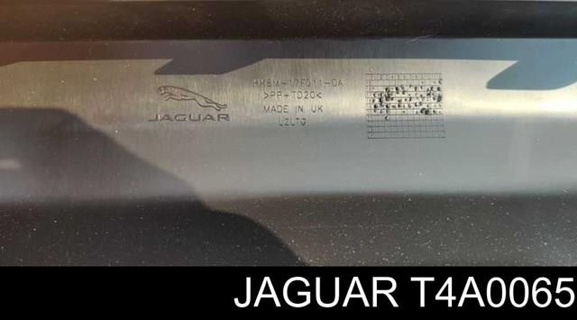 Купити T4A0065 Jaguar 