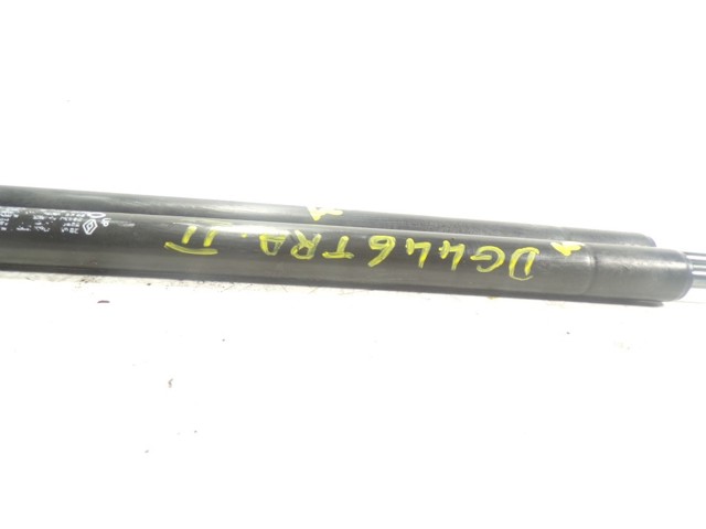 Амортизатор кришки багажника Renault (RVI) 904505599R