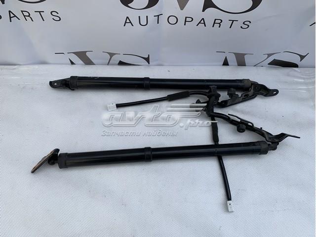 6891049065 Toyota Амортизатор кришки багажника / двері 3/5-ї задньої