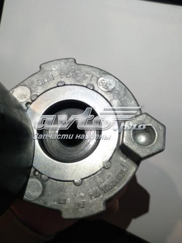 Натягувач приводного ременя Renault (RVI) 117506193R ціна, від 40.94 USD