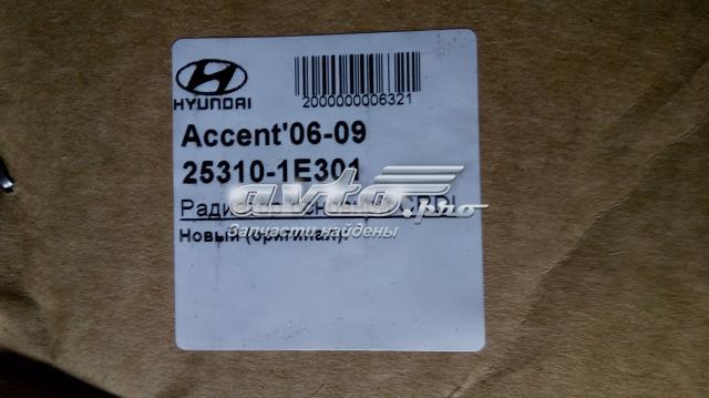 253101E301 HCC Радіатор охолодження двигуна