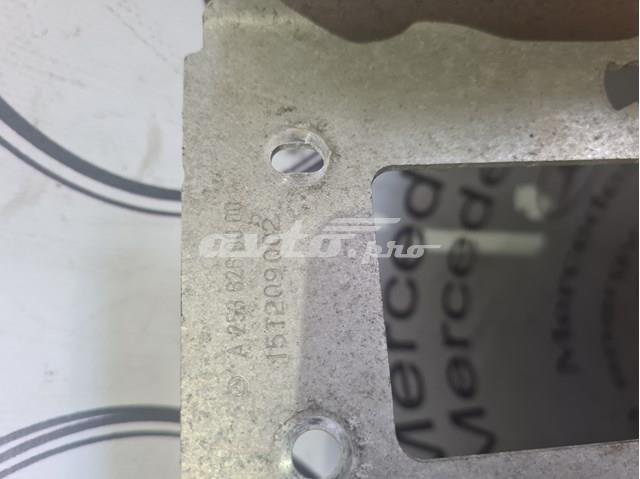 Купити PBZ30121A Signeda 